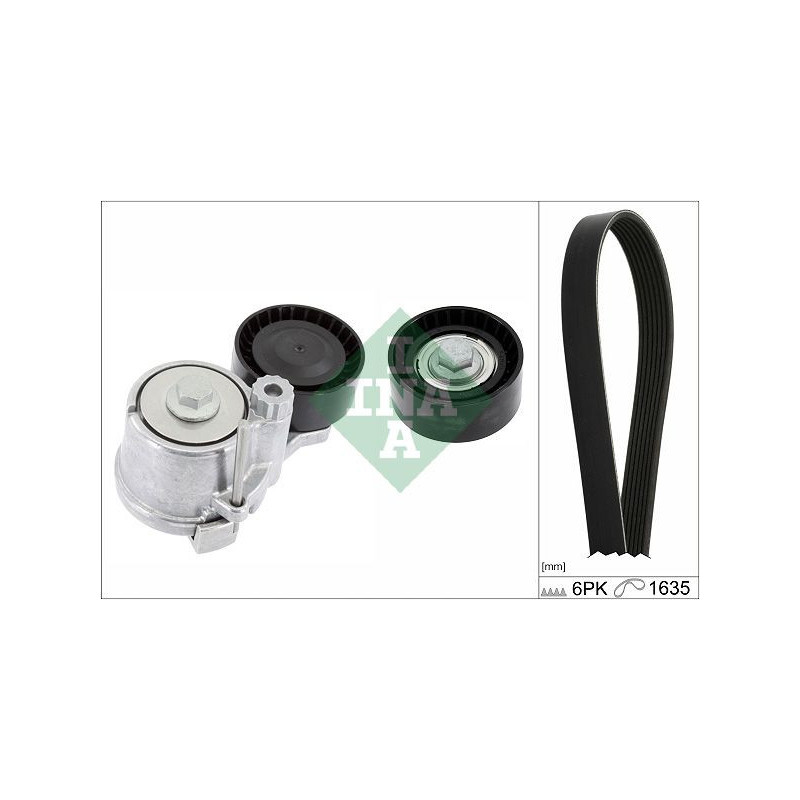 Tendicinghia trapezoidale - INA