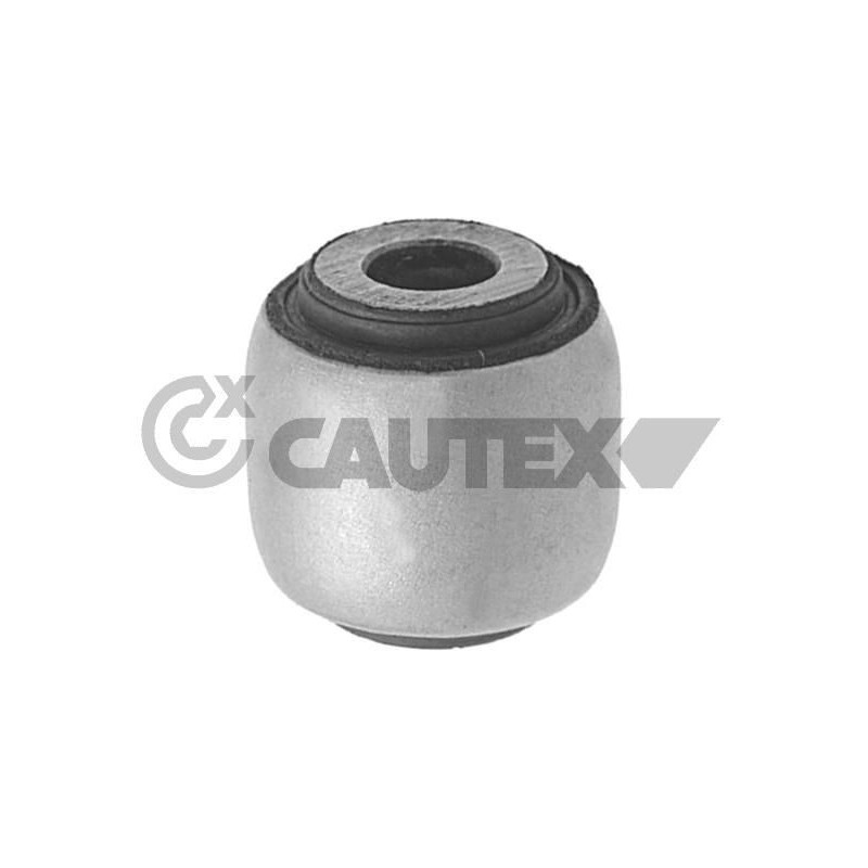 Braccio oscillante asse posteriore - CAUTEX GOMMA E PARTI MOTORE