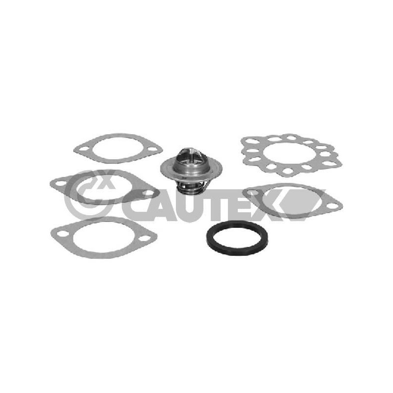 Termostato raffreddamento - CAUTEX GOMMA E PARTI MOTORE