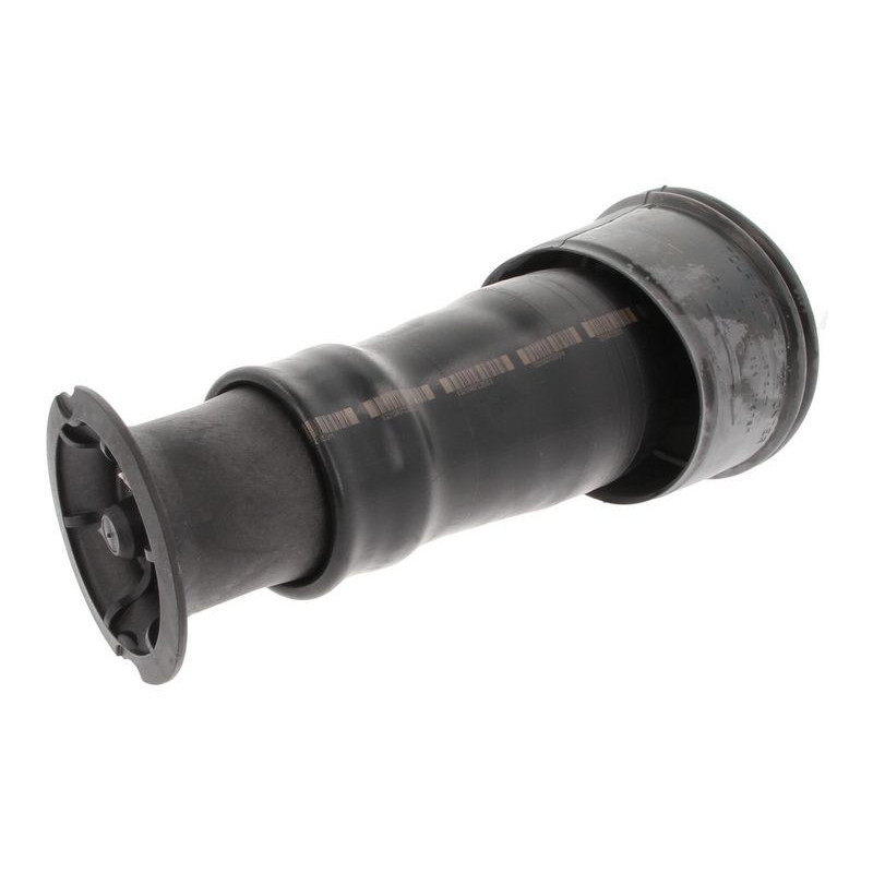 Ammortizzatore asse posteriore - CORTECO