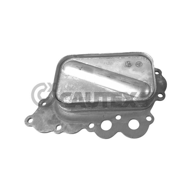 Radiatore olio motore - CAUTEX GOMMA E PARTI MOTORE