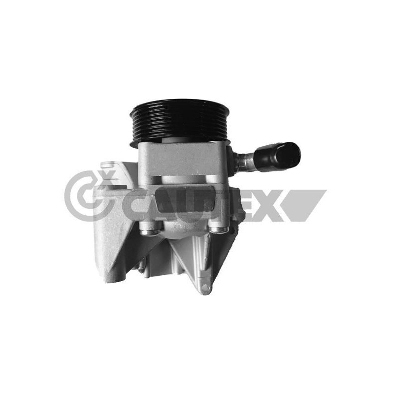 Pompa idraulica servosterzo - CAUTEX GOMMA E PARTI MOTORE