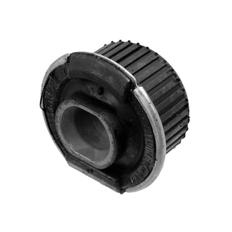 Supporto assale - LEMFORDER