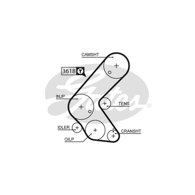Cinghia/catena distribuzione - GATES