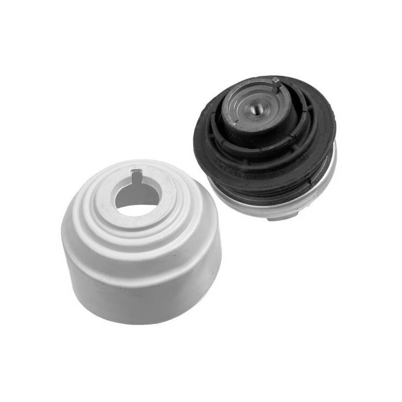 Supporto motore - LEMFORDER