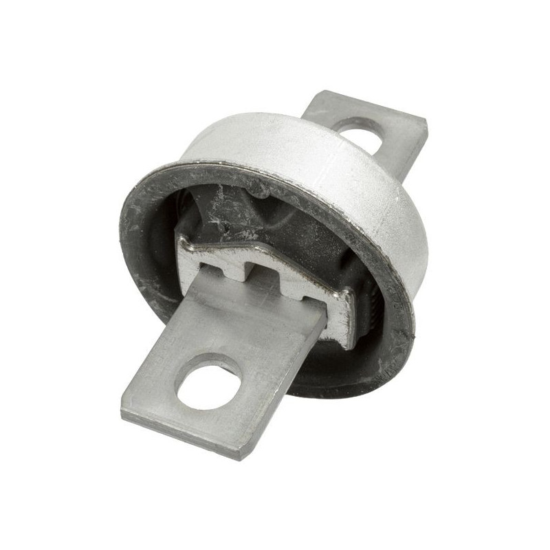 Braccio oscillante asse posteriore - LEMFORDER