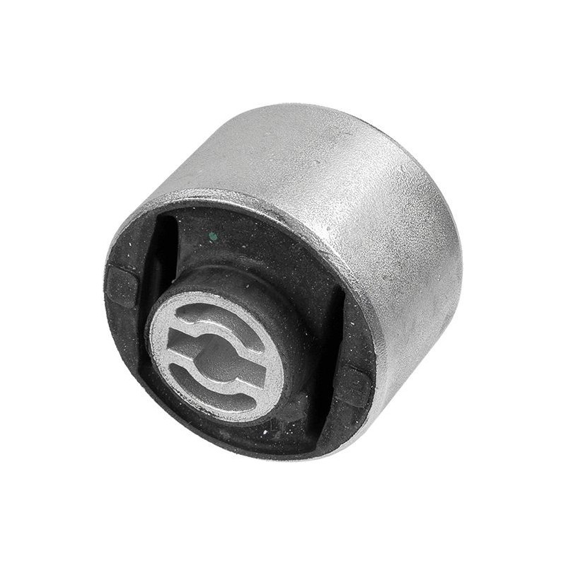 Braccio oscillante asse posteriore - LEMFORDER