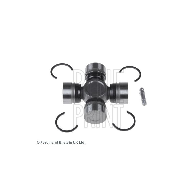 Tendicinghia distribuzione - BLUE PRINT