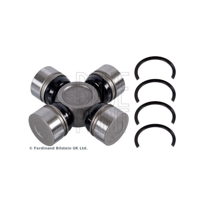 Tendicinghia distribuzione - BLUE PRINT