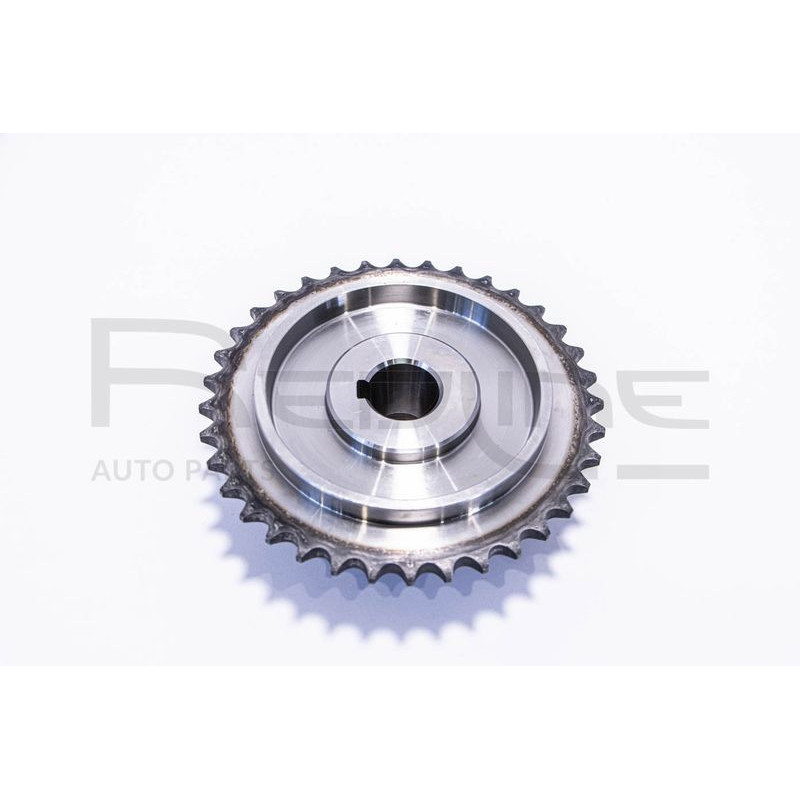 Tendicinghia trapezoidale - RED LINE