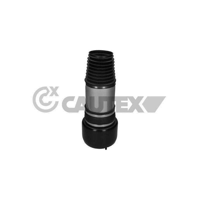 Ammortizzatore asse anteriore - CAUTEX GOMMA E PARTI MOTORE