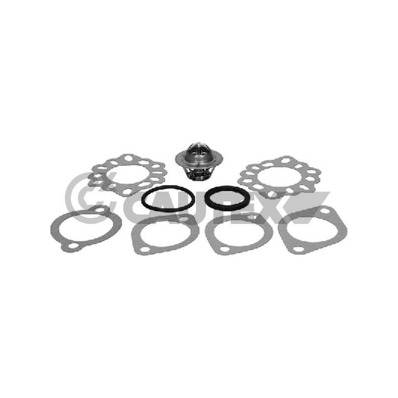 Termostato raffreddamento - CAUTEX GOMMA E PARTI MOTORE