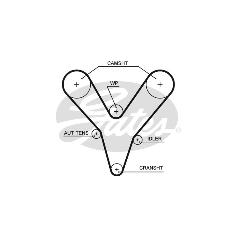 Cinghia/catena distribuzione - GATES