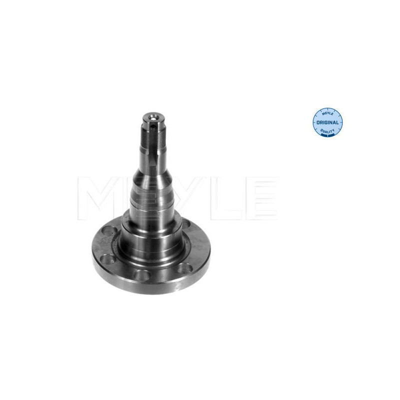 Mozzo ruota asse posteriore - MEYLE