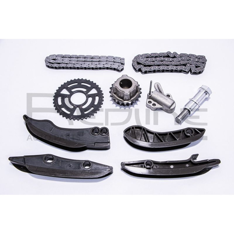 Cinghia/catena distribuzione - RED LINE