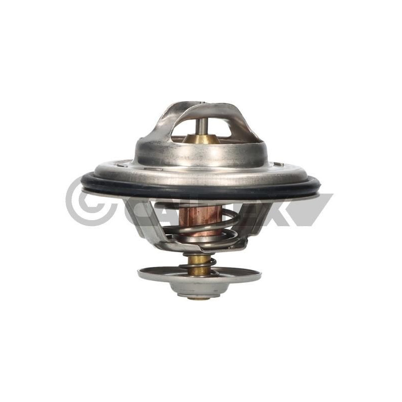 Termostato raffreddamento - CAUTEX GOMMA E PARTI MOTORE