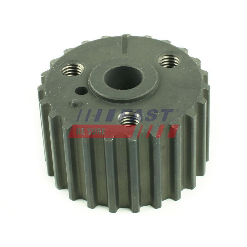 Tendicinghia distribuzione - FAST