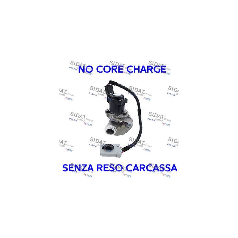 Valvola EGR - SIDAT