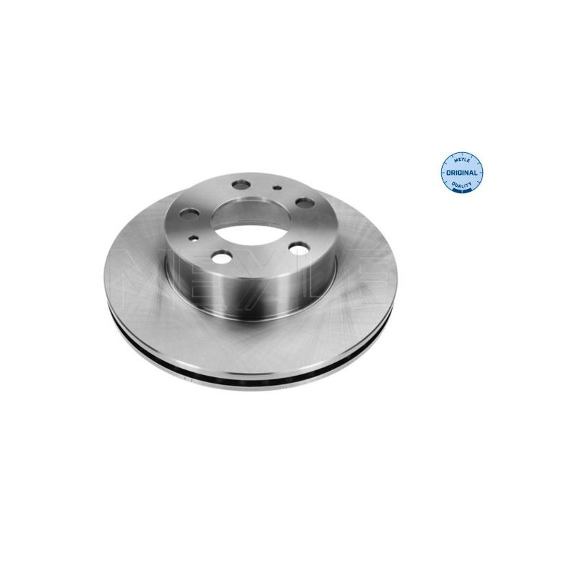 Disco freno asse posteriore - MEYLE