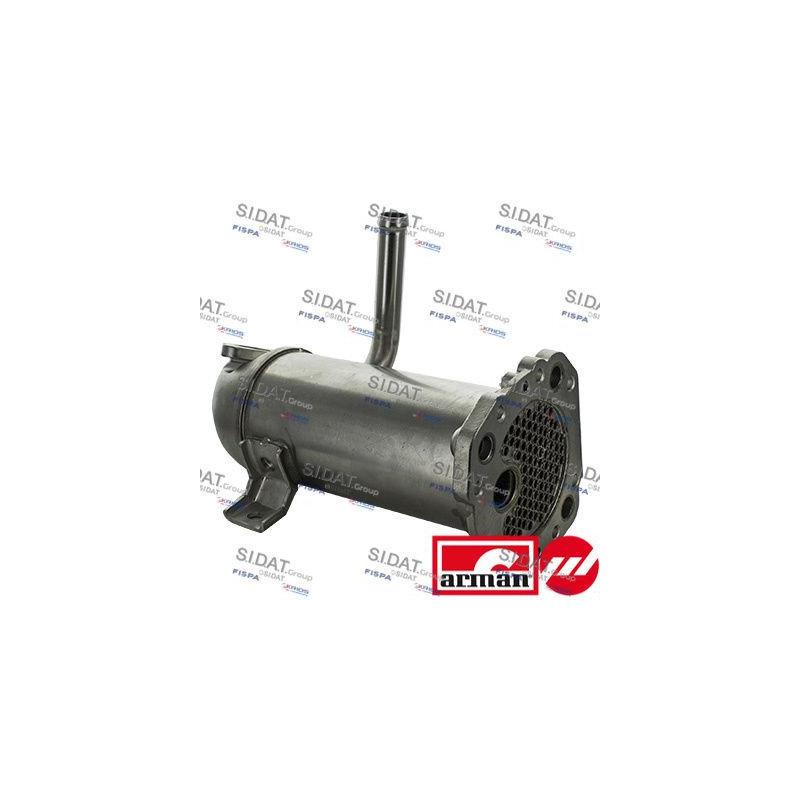 Valvola EGR - SIDAT