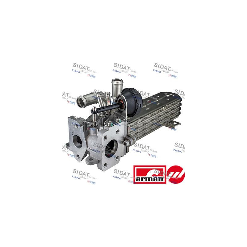 Corpo farfallato - SIDAT