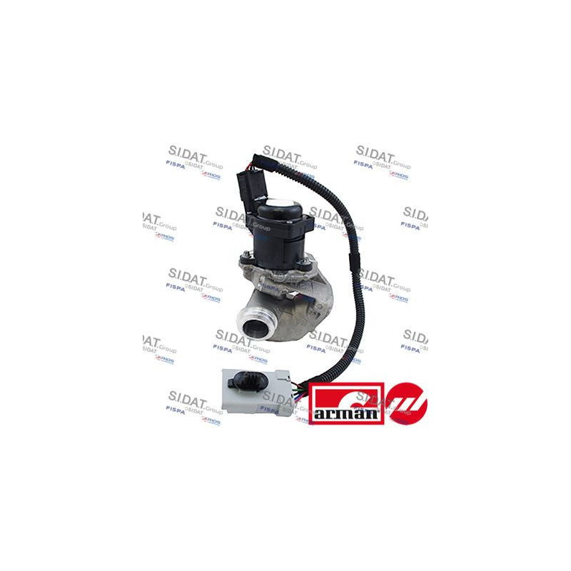 Valvola EGR - SIDAT