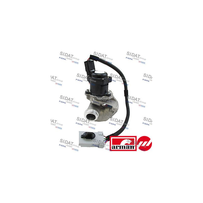 Valvola EGR - SIDAT