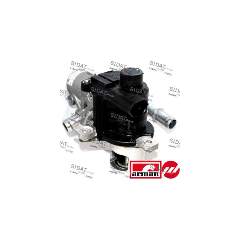 Valvola EGR - SIDAT