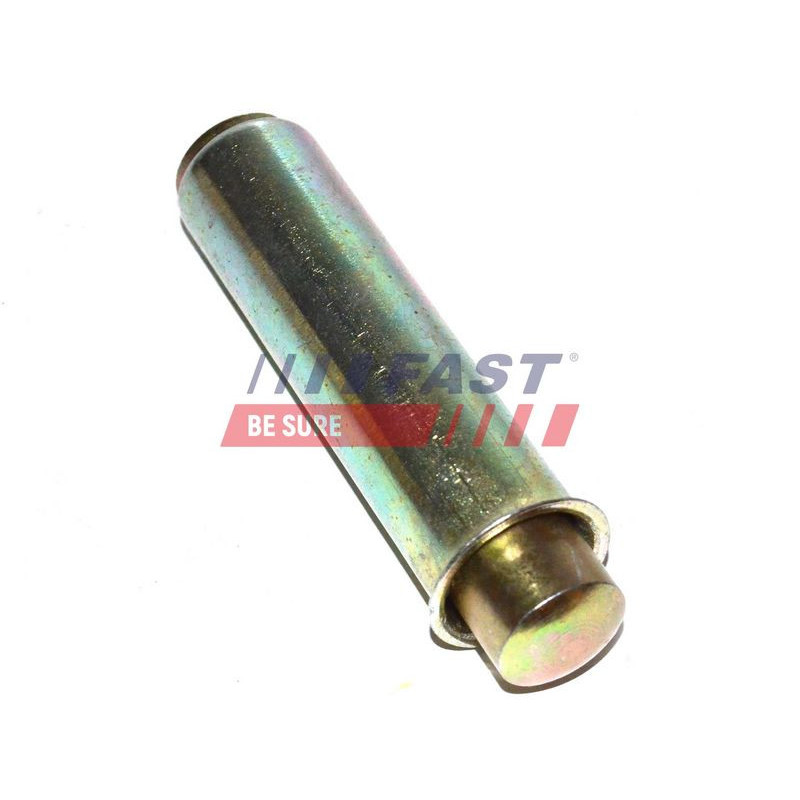 Tendicinghia distribuzione - FAST