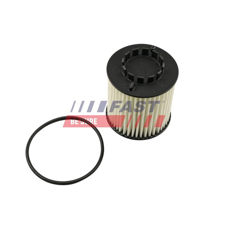 Filtro olio - FAST