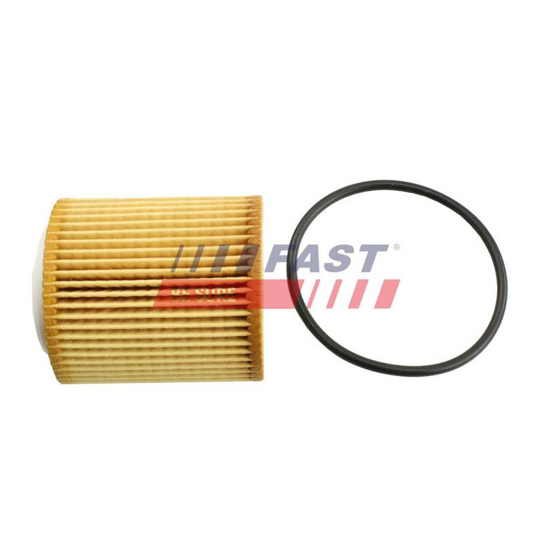 Filtro olio - FAST