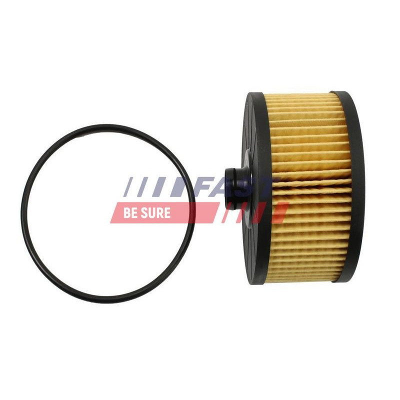 Filtro olio - FAST