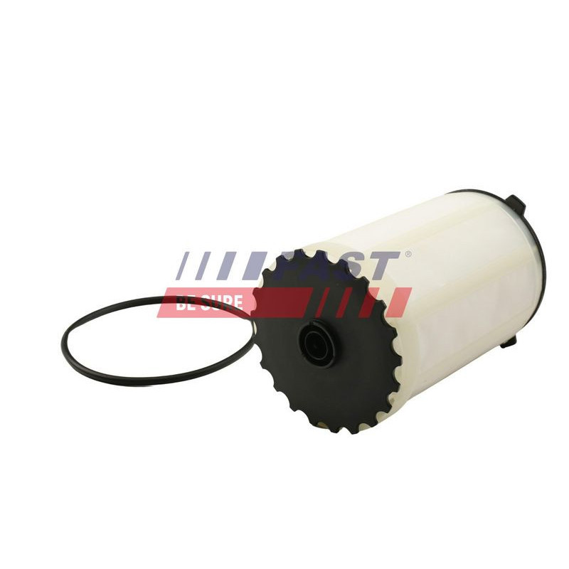 Filtro carburante - FAST
