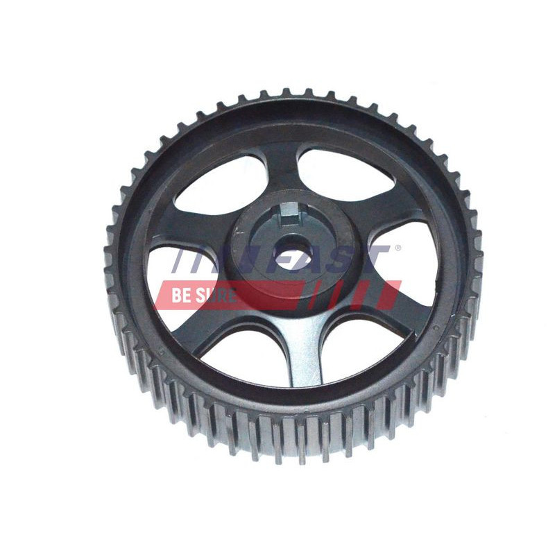 Tendicinghia distribuzione - FAST