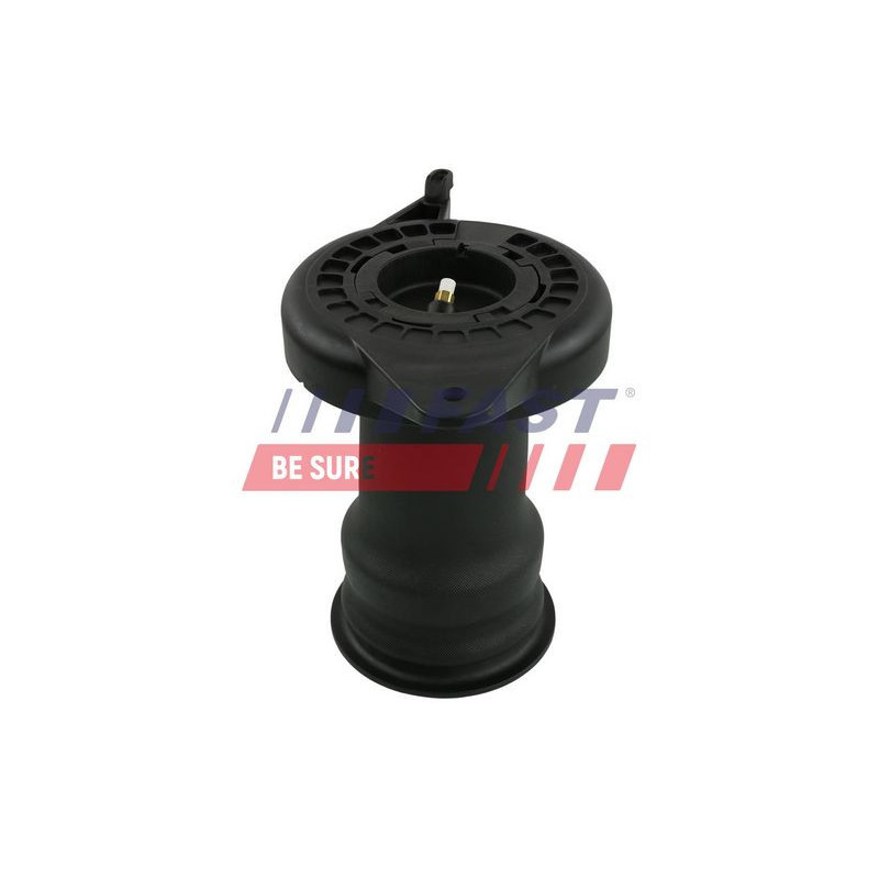 Molla sospensione asse posteriore - FAST