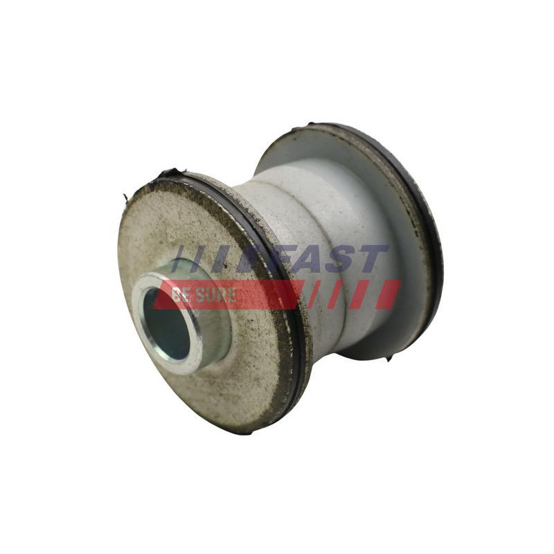 Pastiglie freno asse posteriore - FAST