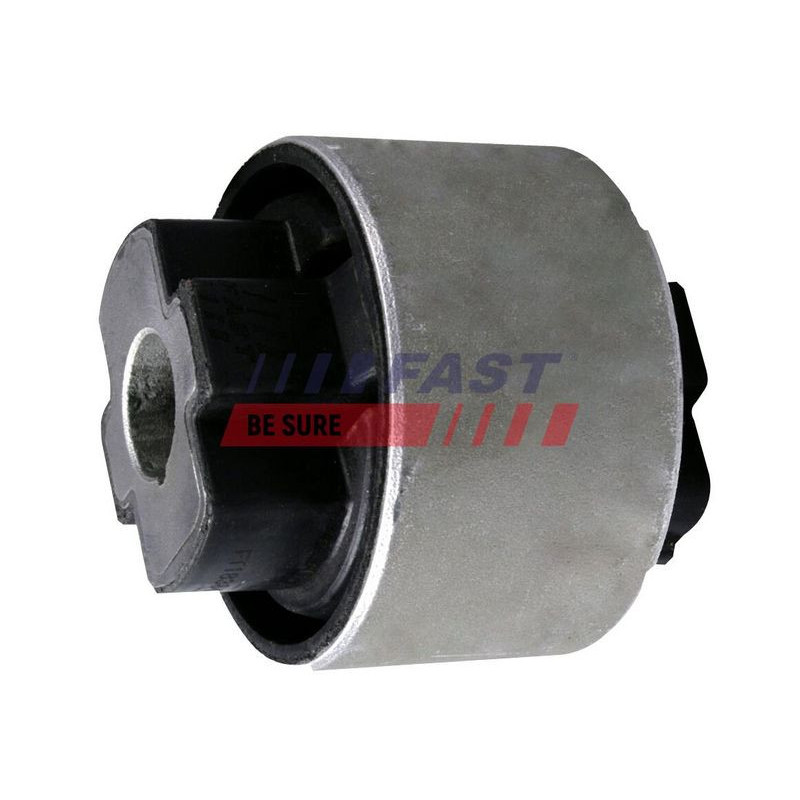 Braccio oscillante asse anteriore - FAST