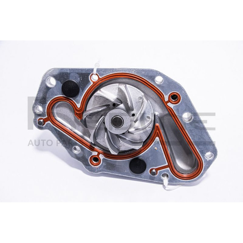 Pompa acqua - RED LINE