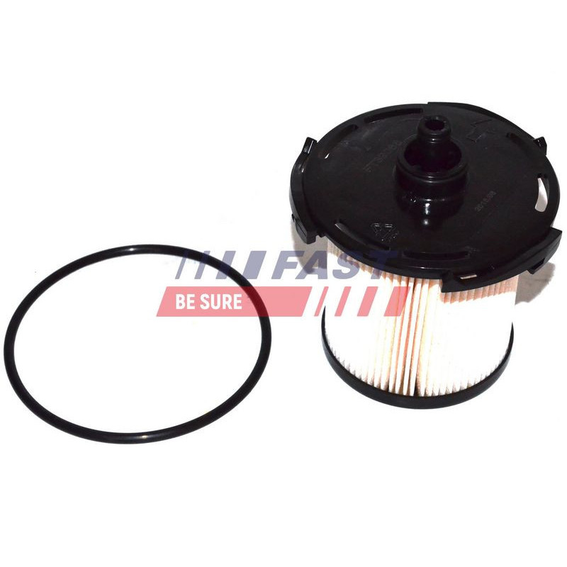 Filtro carburante - FAST