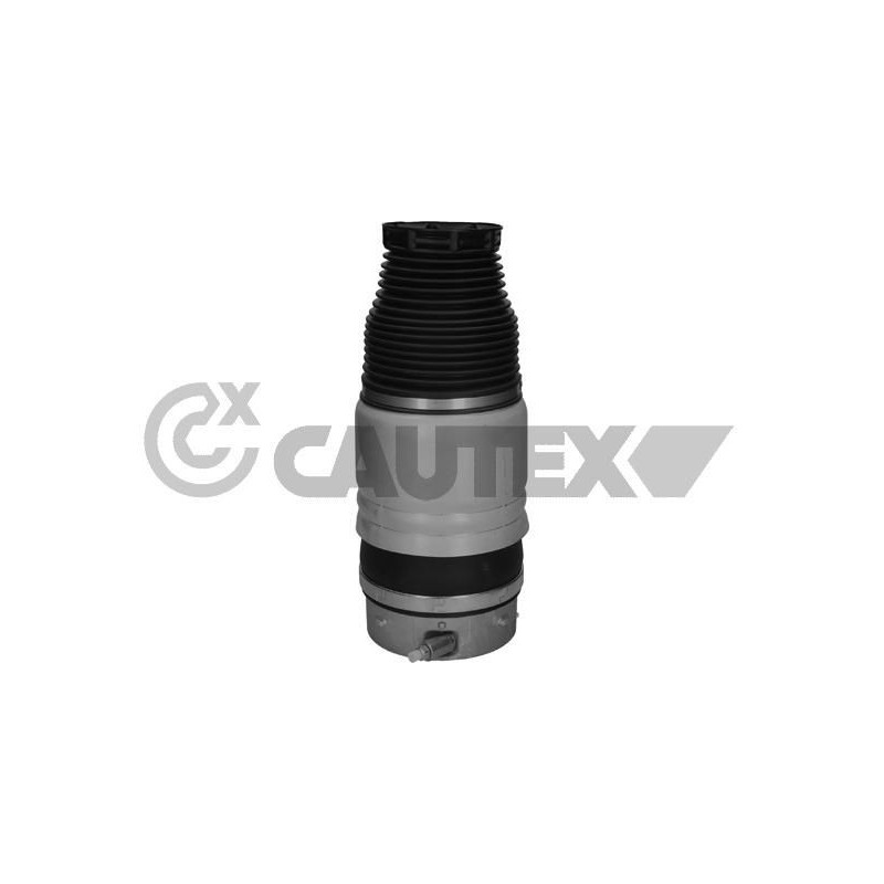 Molla sospensione asse anteriore - CAUTEX GOMMA E PARTI MOTORE