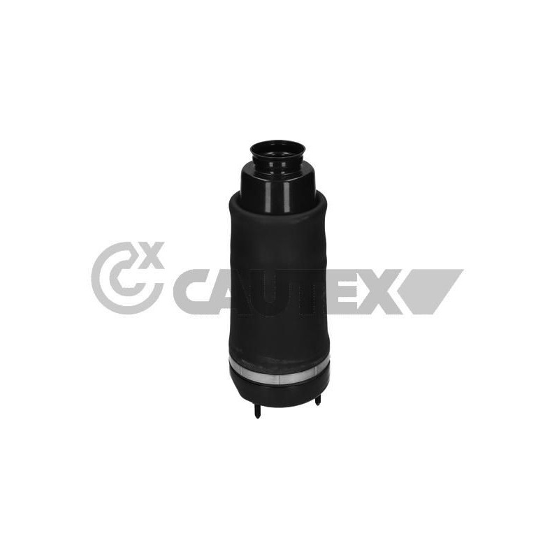 Ammortizzatore asse anteriore - CAUTEX GOMMA E PARTI MOTORE