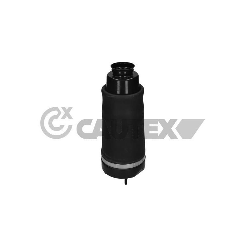 Ammortizzatore asse anteriore - CAUTEX GOMMA E PARTI MOTORE