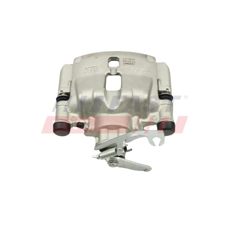 Pinza freno asse posteriore - FAST