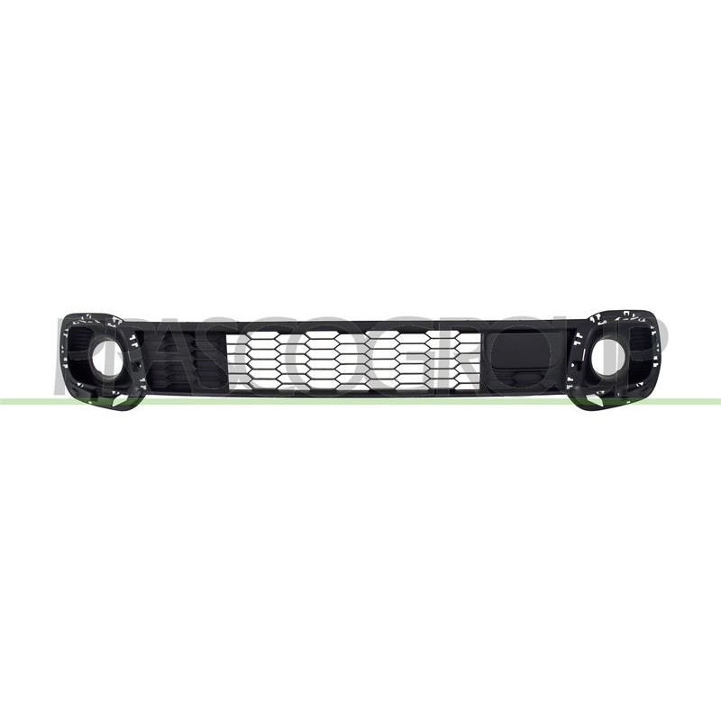 Griglia paraurti - PRASCO