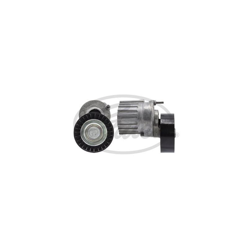 Tendicinghia trapezoidale - GATES