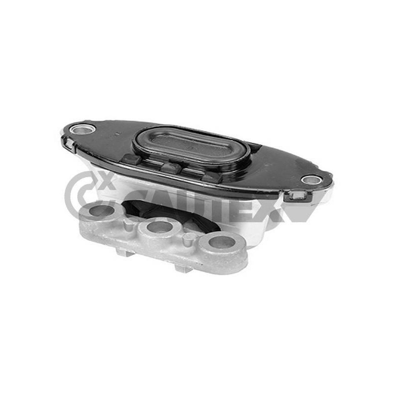 Supporto motore - CAUTEX GOMMA E PARTI MOTORE