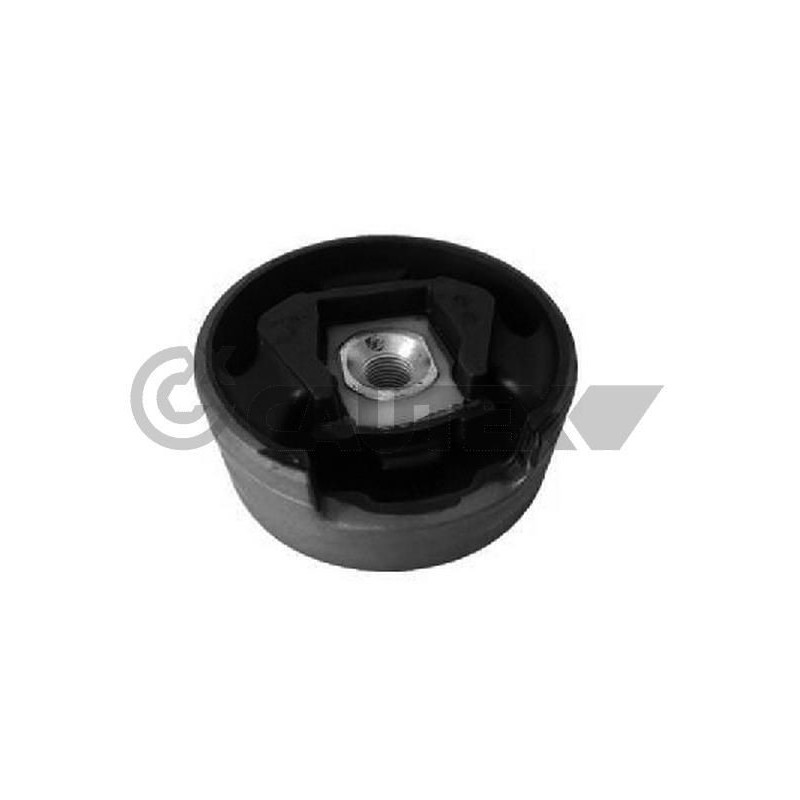 Supporto motore - CAUTEX GOMMA E PARTI MOTORE