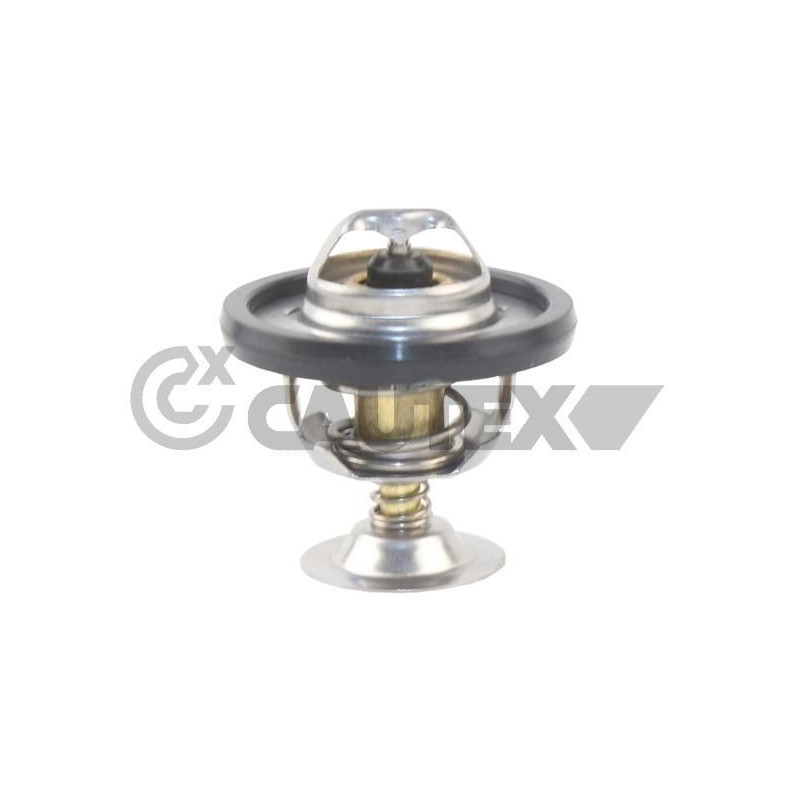 Termostato raffreddamento - CAUTEX GOMMA E PARTI MOTORE