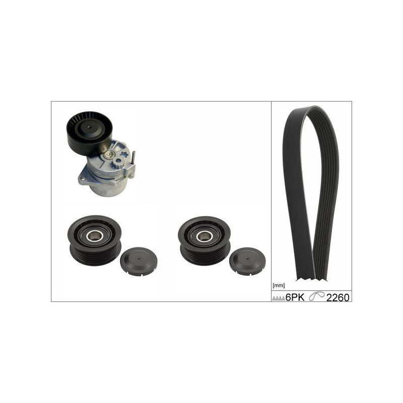 Tendicinghia trapezoidale - INA