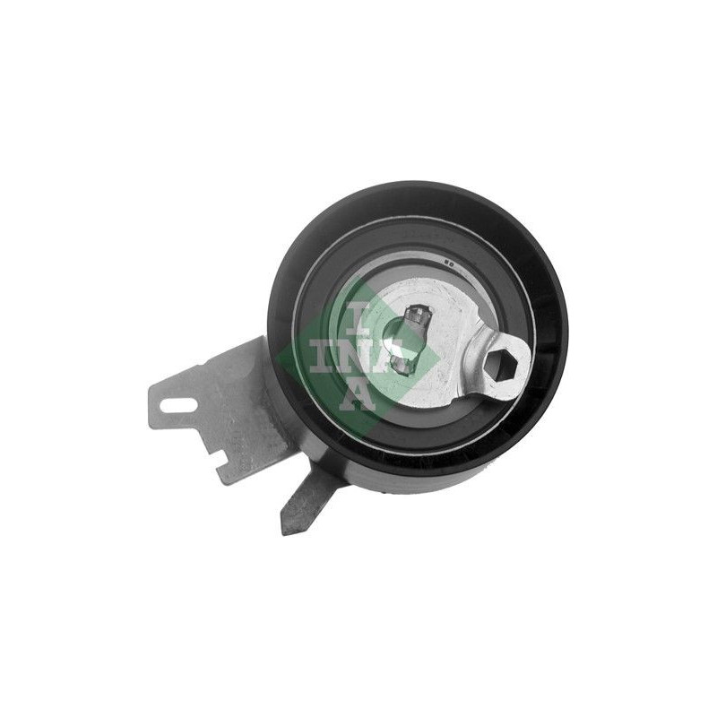 Tendicinghia distribuzione - INA